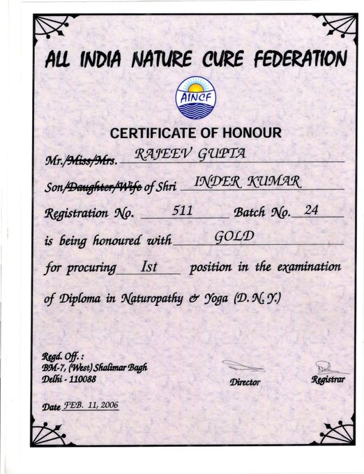 Certificate of Honour, gold, for first position in the Diploma examination, 2006